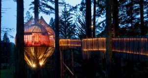 The Redwoods Treehouse